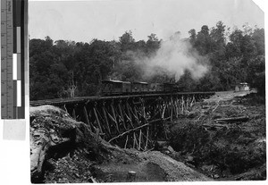 Train crossing a wood bridge, Uganda, Africa, July 24, 1909