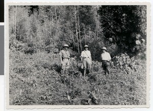 Group portrait of Hermann Elbers, Hermann Hornbostel and Hinrich Rathje, Bedele, Ethiopia, 1931-1935