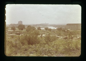 Scenery with trees and buildings in the background