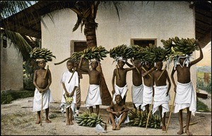 African children after harvesting bananas, Tanzania, ca. 1900-1909