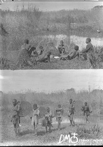 Fishing with baskets, Makulane, Mozambique, ca. 1896-1911