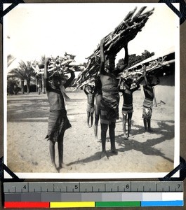 Girls carrying bundles of firewood, Shendam, Nigeria, 1923