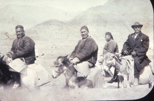 Mr. Lowe and friends riding donkeys, Shandong, China, ca.1900-1919