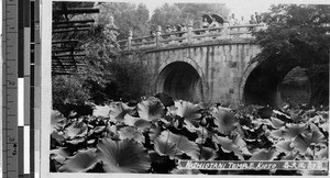 Nishiotani Temple, Kyoto, Japan, ca. 1920-1940