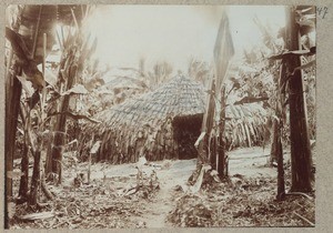 Chagga house (West Kilimanjaro construction method) in banana grove, Tanzania