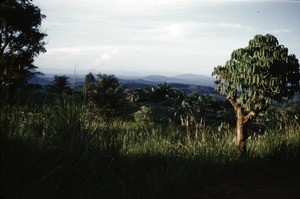 View towards the Mambila mountains at the border of Nigeria, Adamaoua, Cameroon, 1953-1968