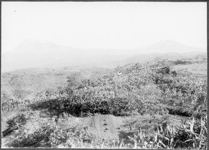 Mount Kilimanjaro, Tanzania, Africa, ca. 1901-1910