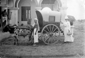 Missionary Miss Elisabeth Th. Svendsen on her way to make housecalls, Carmel, Tiruvannamalai 19