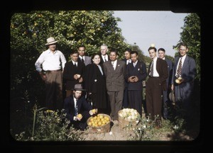 Group of men in orchard