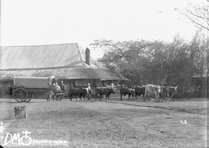 Missionary leaving for Kouroulene, Valdezia, South Africa, ca. 1896-1911