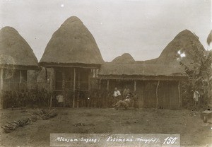 Mfonjam (Bayong) Fotomena (Königsfof), in Cameroon