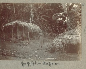 A homestead in Machame, Tanzania