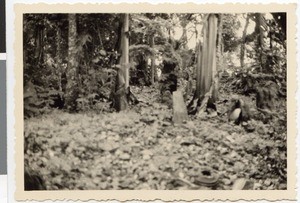 Figurines of Aba Magal's magic grove, Ethiopia