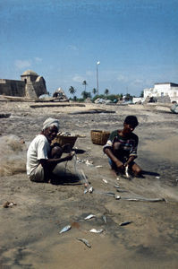 DMS generalsekretær Harald Nielsen på besøg i Trankebar, 1997. Foto: Fiskere arbejder på stranden