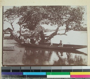 Canoes on the river bank near Ambodisiny, Madagascar, 1901