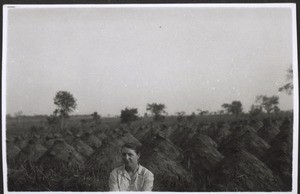 1936. Yam-field near Tamale, and Mrs Monninger