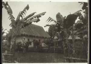 Cameroon / Bamum District / Basel Mission Factory in Gorori