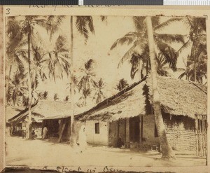 On a street, Dar es Salaam, Tanzania, July 1917