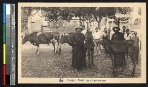 Clergy posed near livestock, Kasai, Congo, ca.1920-1940