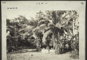 Abetifi cemetary. Graves of the missionaries Werner and Lodholz, Ramseyer's child