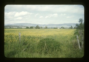 cultivated fields and mountains