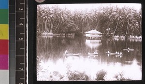 Lowland scene, Sri Lanka, s.d