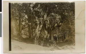 Ride to the Entoto in Adis Abeba, Adis Abeba, Ethiopia, ca.1928-1929