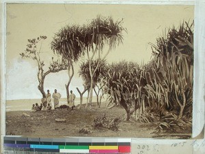 Coastal landscape, Madagascar