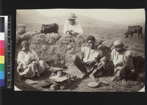 Cattle and herdsmen, Madagascar, ca. 1900