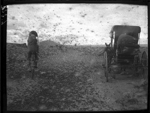 Grasshopper swarm on the road to Pietersburg, Elim, Limpopo, South Africa, ca. 1901-1907