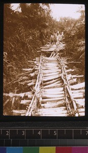 Bridge on the way to Jojoima, Sierra Leone, ca. 1927-28