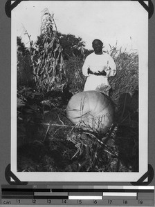 A man and a pumpkin, Usoke, Unyamwezi, Tanzania