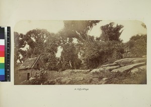 View of Ilafy village, Madagascar, ca.1865-1885