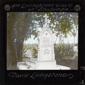 Mrs Livingstone's Grave at Shupanga, ca.1862