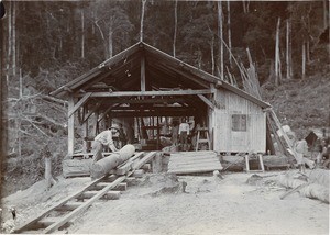 Sawmill, in Gabon