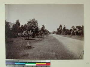 Main road showing new planted trees, Antsirabe, Madagascar, ca.1904