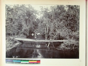 Carrier walking on a bridge over a river in the forest on the road Toamasina - Antananarivo, Madagascar, ca.1890