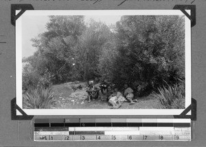 Boys in the shade, Wittekleibosch, South Africa, 1934