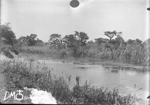 Little lake near Ndloti, Mozambique, ca. 1896-1911