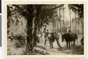 Kebede mounts the mule, Ayra, Ethiopia, ca.1951-1952