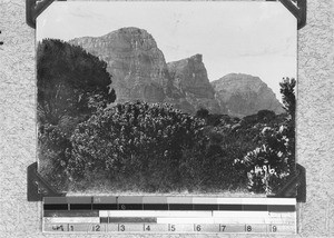 "Three Apostles" mountain range, near Cape Town, South Africa