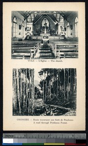 Interior of a church and a path through the Paudanus forest, Ononge, Papua New Guinea, ca.1900-1930