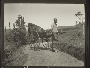 Mein Kuli in Nuwara Eliya