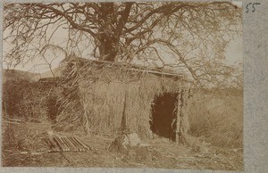 Small rectangular grass hut next to a tree in steppe landscape