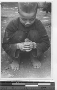 A boy holding a baby chick at Hong Kong, China, 1941