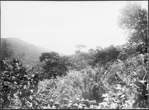 School, Moango, Tanzania, ca. 1911-1914