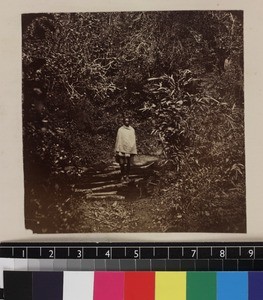 Unknown indigenous man standing on forest pathway, Madagascar, ca. 1865-1885