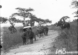 Carts on the road to Kouroulene, Valdezia, South Africa, ca. 1896-1911