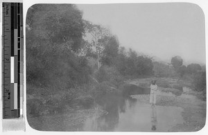 Father Jarreau standing in a flooded field, China, ca. 1915