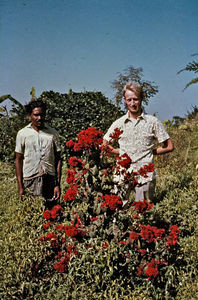 Missionary Iver Viftrup with a local co-worker, Chapai Nawabganj, Bangladesh. (Photo ca. 1972)